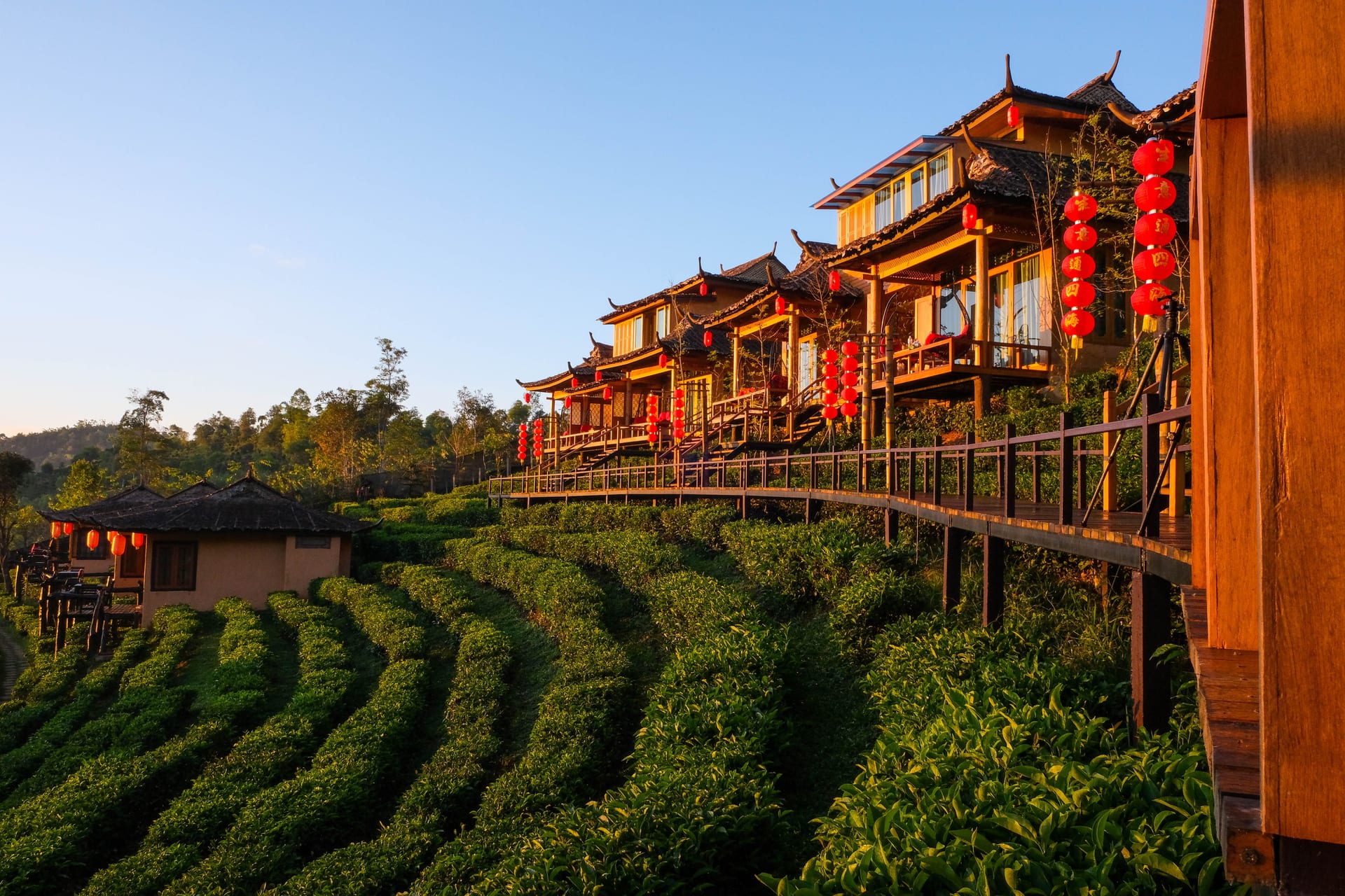 Chiang Mai, Thailand — CrossBorders city profile