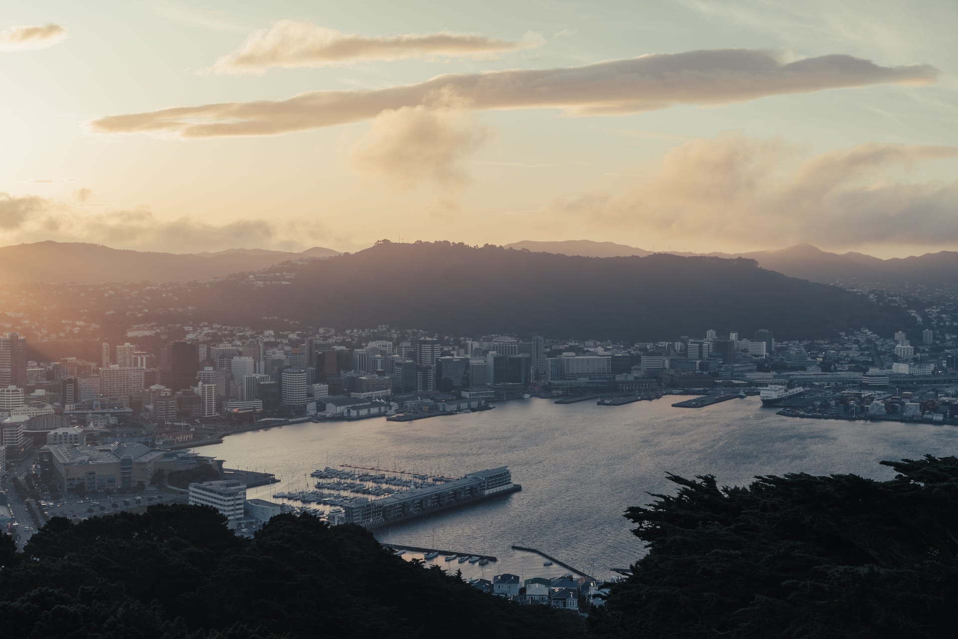 Wellington, New Zealand — CrossBorders city profile
